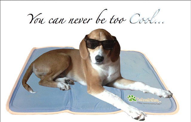 Cool Pet Pads, Pet Cooling Mat and Beds